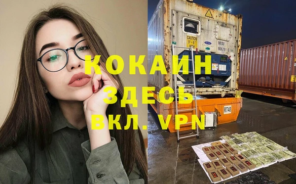 прущие грибы Абаза