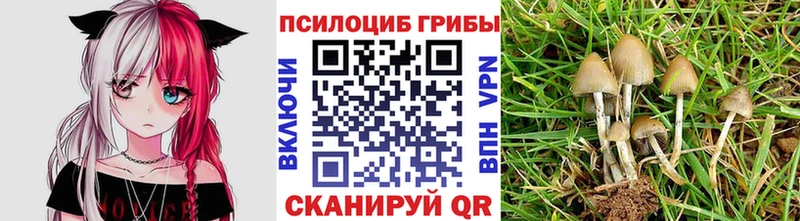 Псилоцибиновые грибы MAGIC MUSHROOMS купить закладку Нижневартовск