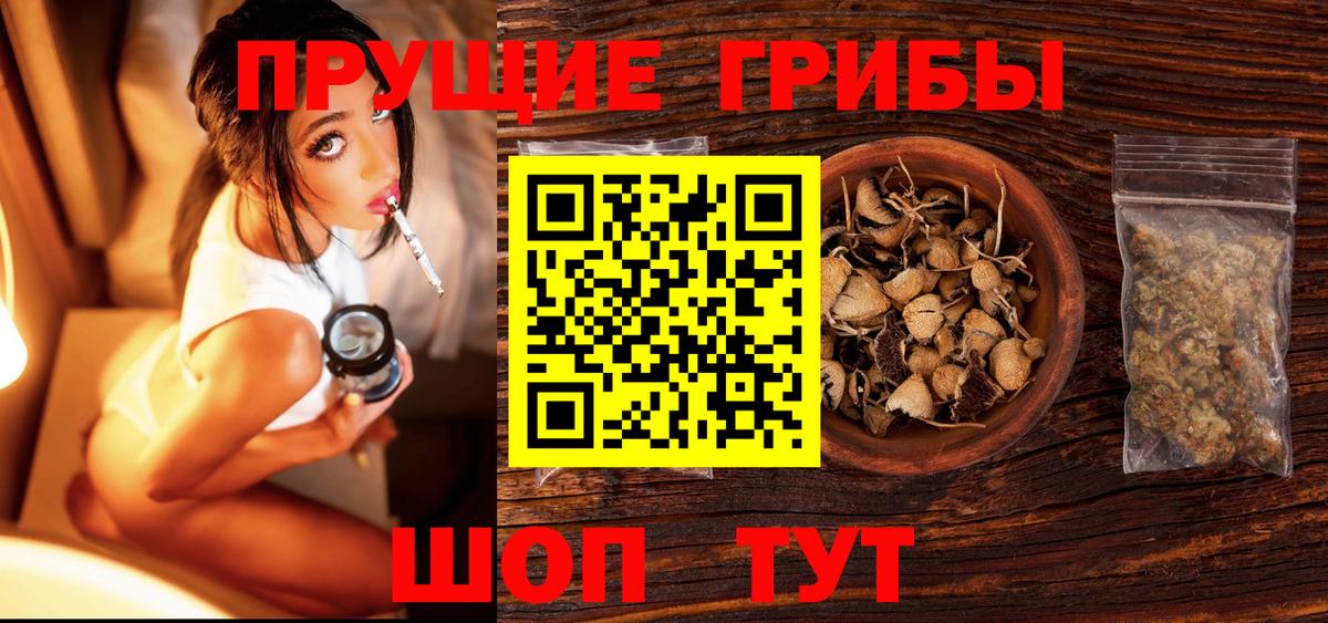Нижневартовск  Галлюциногенные грибы Psilocybine cubensis  Вход с VPN 